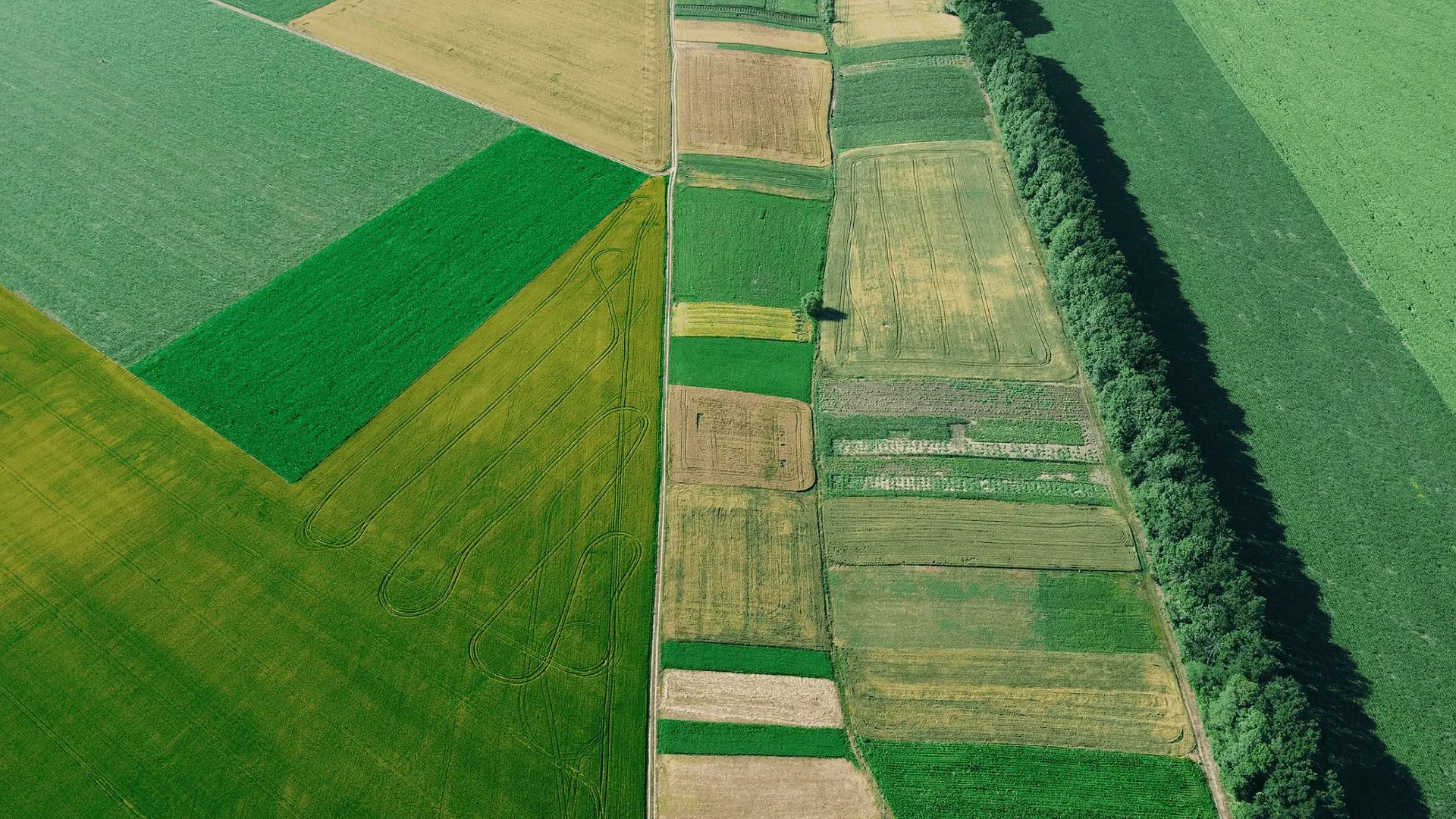 GLandGo GPS Field Measurement App Showcase